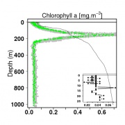 Profil chlorophyll a.jpg
